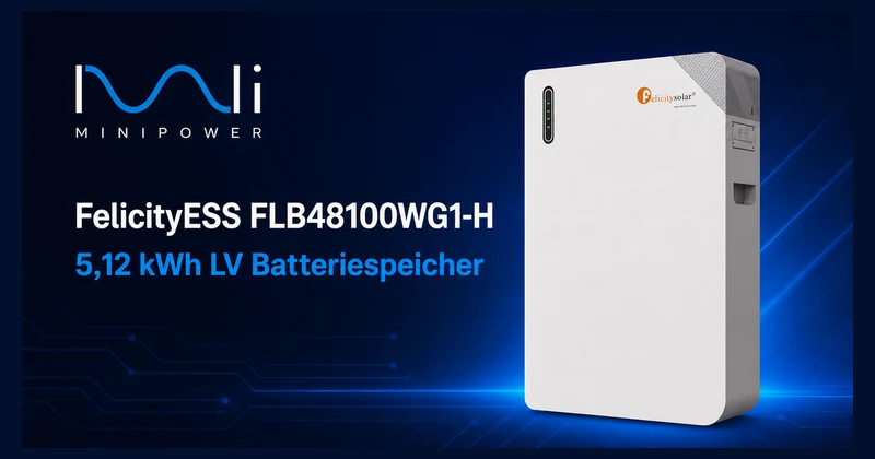 Batterie basse tension FelicityESS FLB48100WG1-H 5,12 kWh LiFePO₄