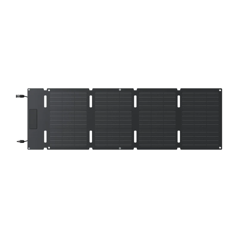 EcoFlow 45W Portable Solar Panel--Redemption