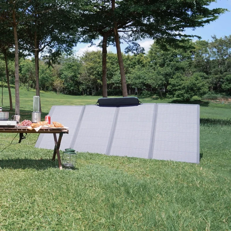 EcoFlow 400W Portable Solar Panel (Recommended Accessories)