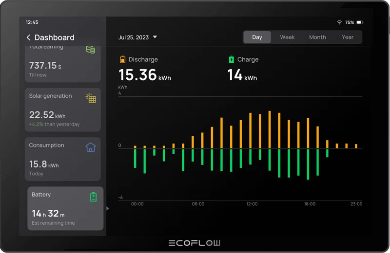 EcoFlow PowerInsight