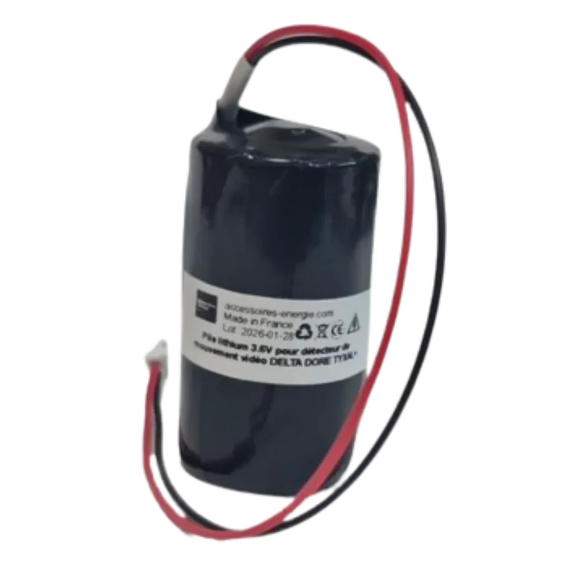 Pile lithium 6416224 3.6 V 5800 mAh pour Delta Dore DMBV TYXAL+