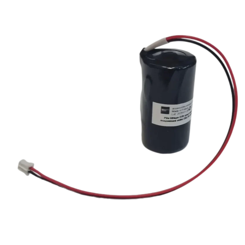 Pile lithium 6416224 3.6 V 5800 mAh pour Delta Dore DMBV TYXAL+