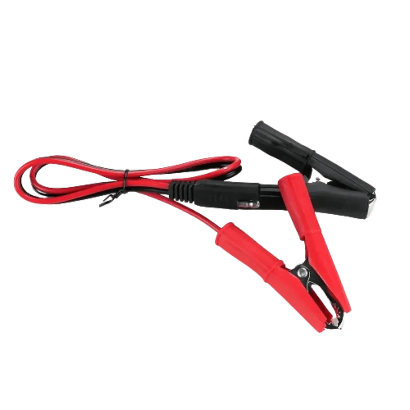 Chargeur intelligent pour batterie Plomb de véhicule 12V et 24V