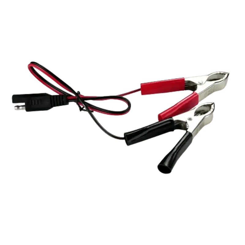 Chargeur intelligent pour batterie de véhicules 6V et 12V