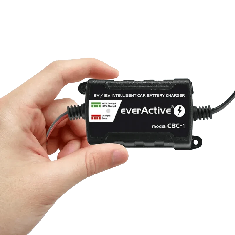 Chargeur intelligent pour batterie de véhicules 6V et 12V