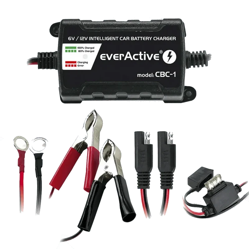 Chargeur intelligent pour batterie de véhicules 6V et 12V
