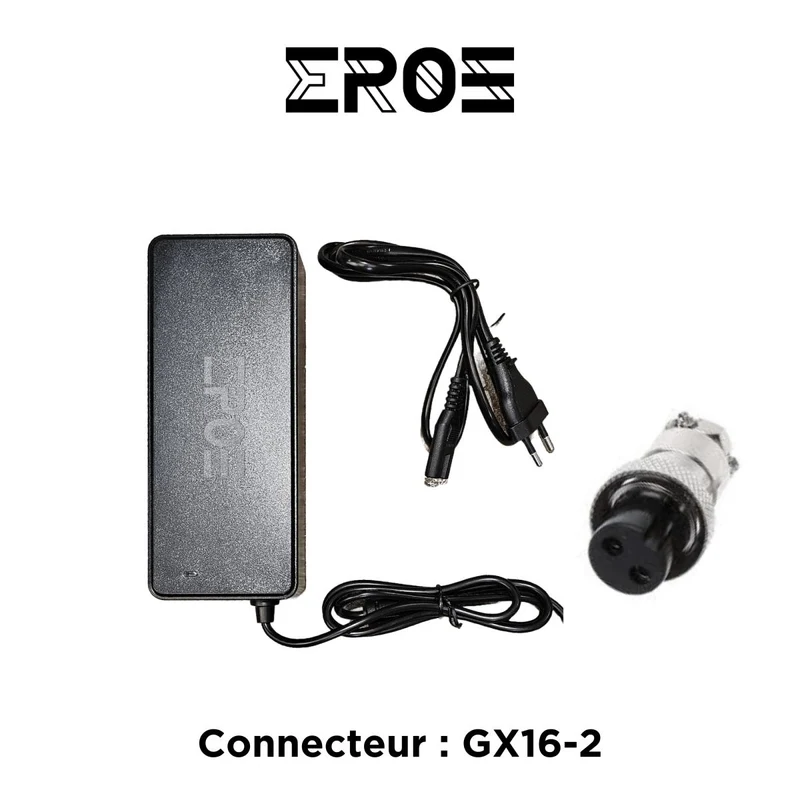 Chargeur Rapide Universel de Trottinette Électrique pour Batterie 72V