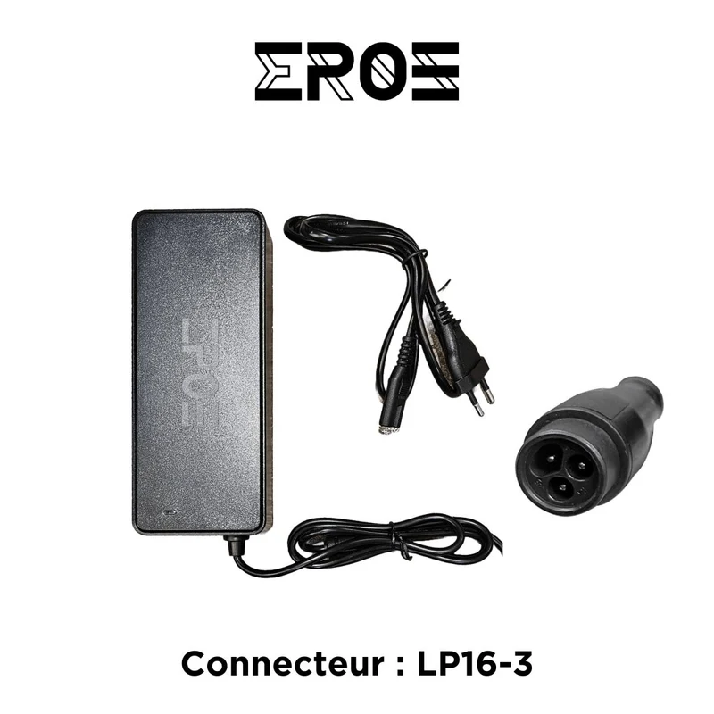 Chargeur Rapide Universel de Trottinette Électrique pour Batterie 60V