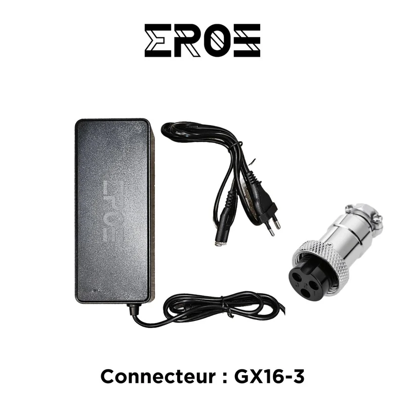 Chargeur Rapide Universel de Trottinette Électrique pour Batterie 60V