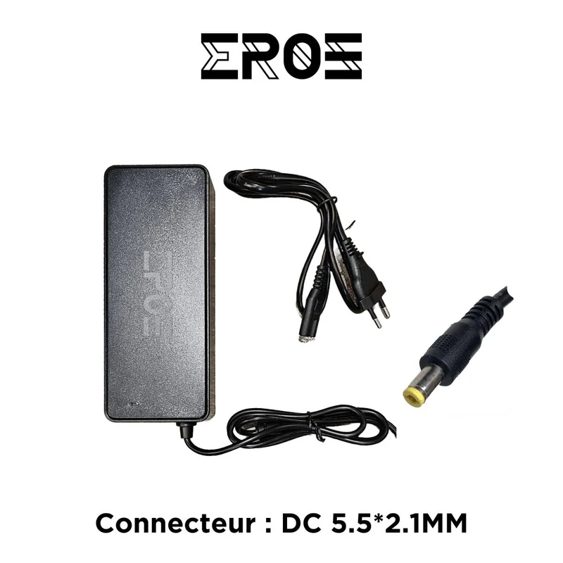 Chargeur Rapide Universel de Trottinette Électrique pour Batterie 52V