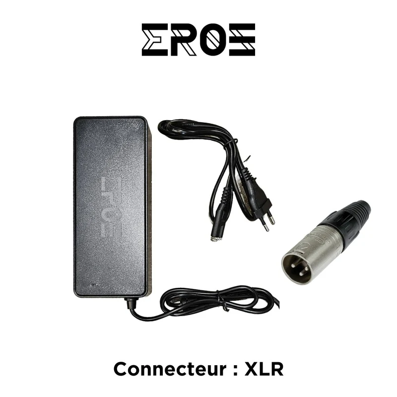 Chargeur Rapide Universel de Trottinette Électrique pour Batterie 48V