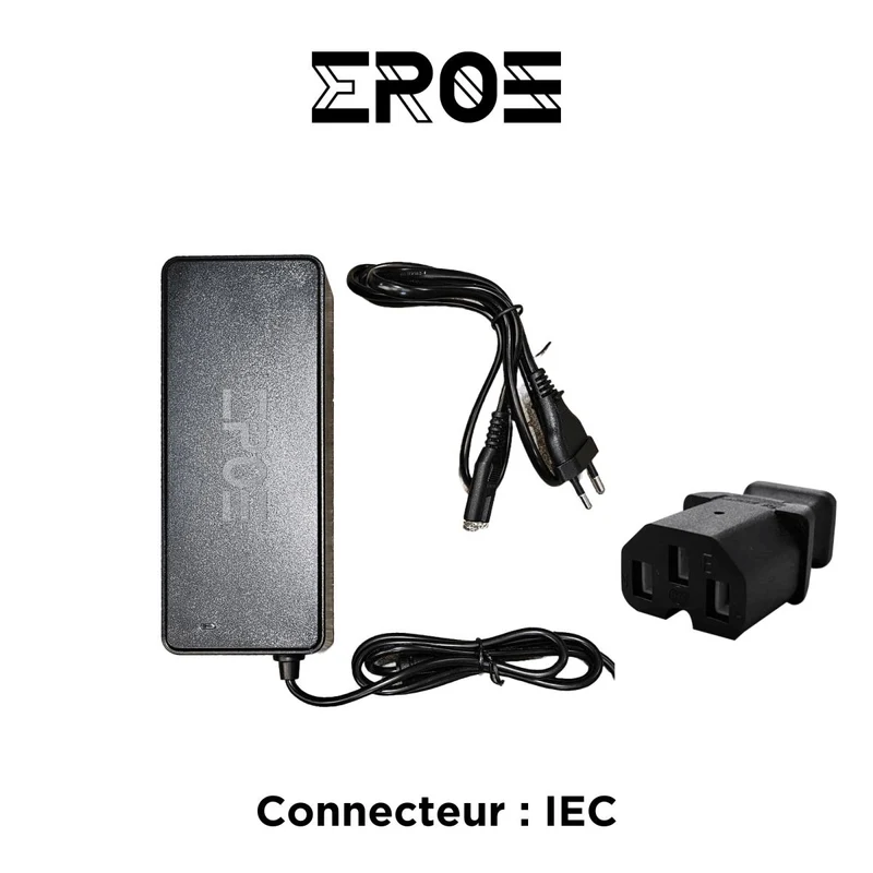 Chargeur Rapide Universel de Trottinette Électrique pour Batterie 48V