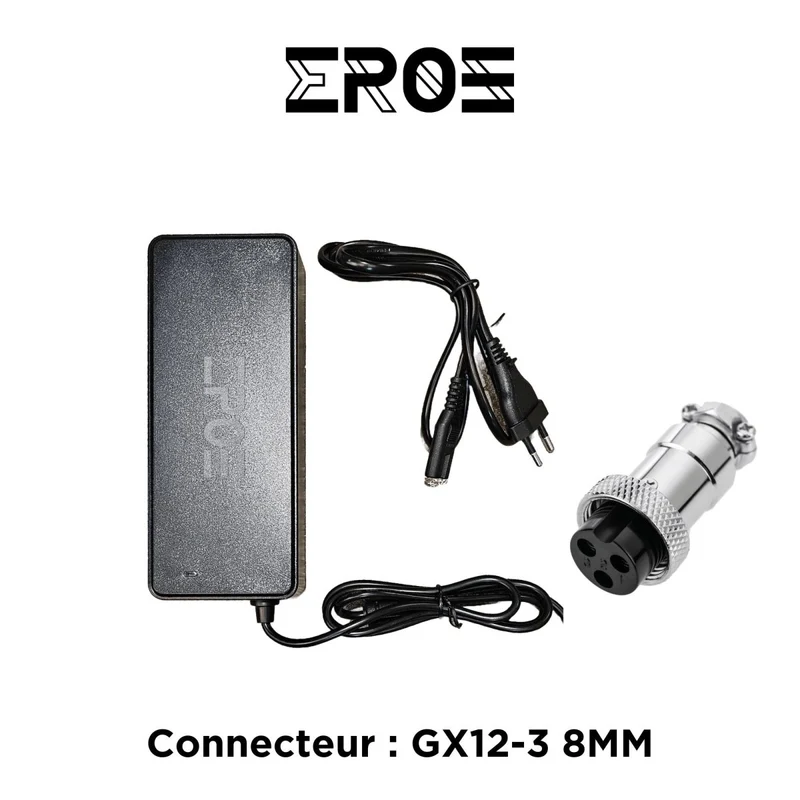 Chargeur Rapide Universel de Trottinette Électrique pour Batterie 48V