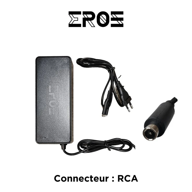 Chargeur Standard Universel de Trottinette Électrique pour Batterie 72V