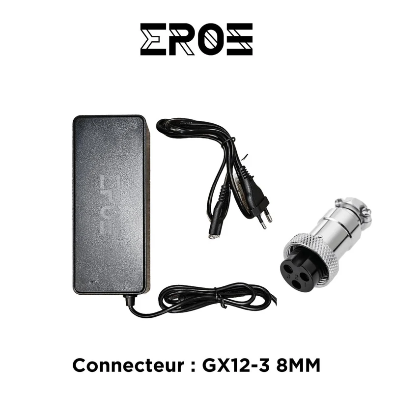 Chargeur Standard Universel de Trottinette Électrique pour Batterie 52V