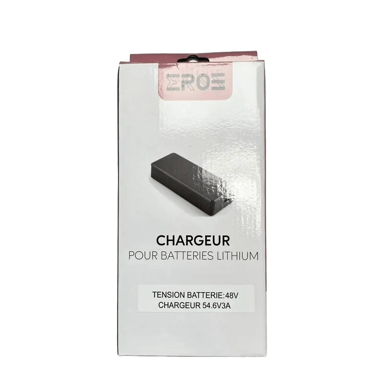 Chargeur Standard Universel de Trottinette Électrique pour Batterie 48V