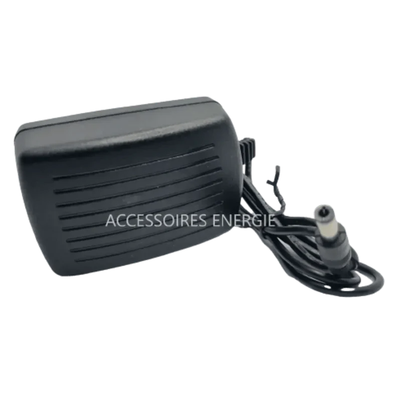 Alimentation 220v AC/DC 20v 2A