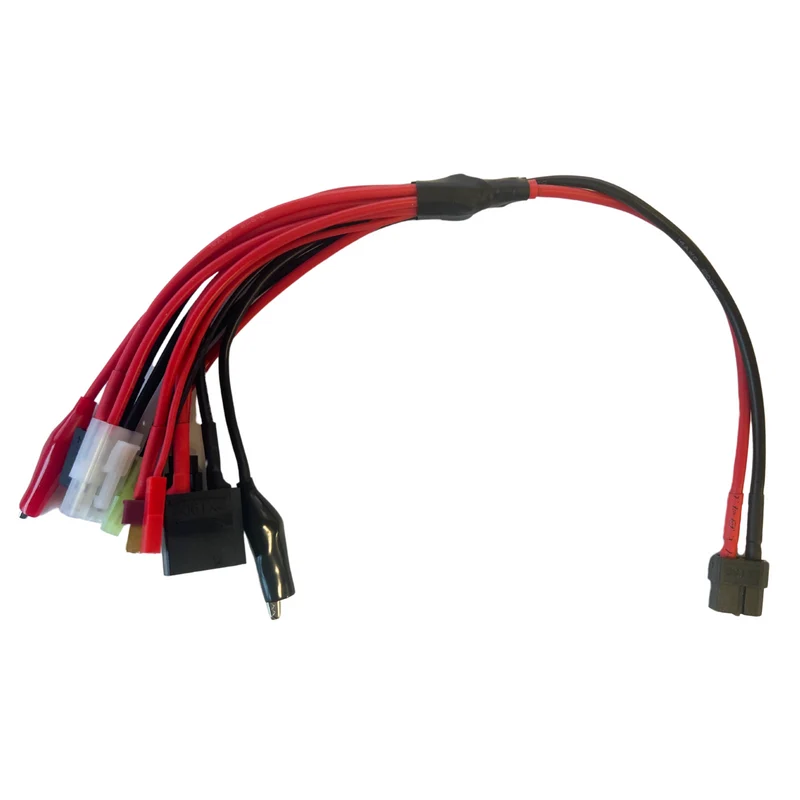 Corsatec Cordon de Charge universel CT60031