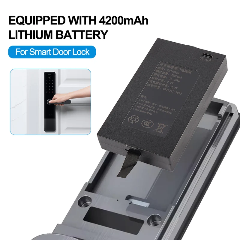 Replacement Battery C+C- P-P+ For Smart Door Lock ZNS-09B1 4200mAh