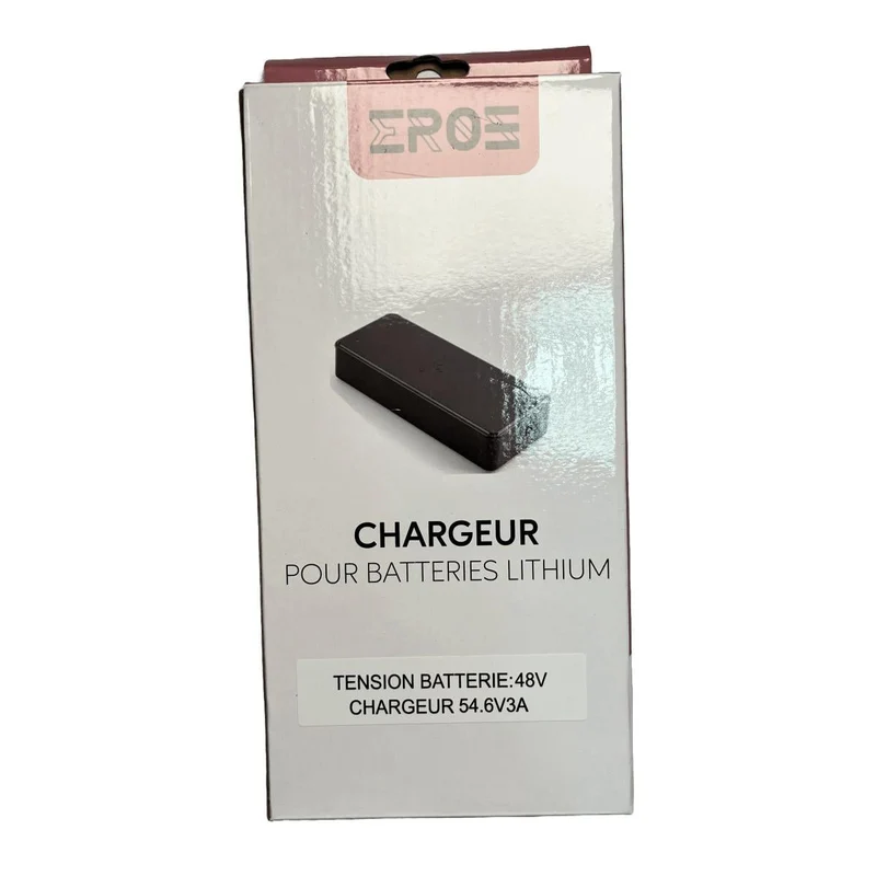 Chargeur Standard pour Trottinette Électrique Weebot Maverick (Uniquement)