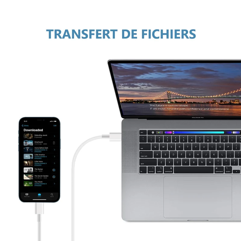 Câble USB C vers USB C 2 Mètres
