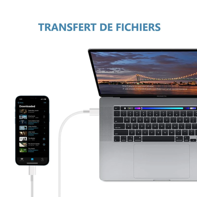 Câble USB C vers USB C 1 Mètre