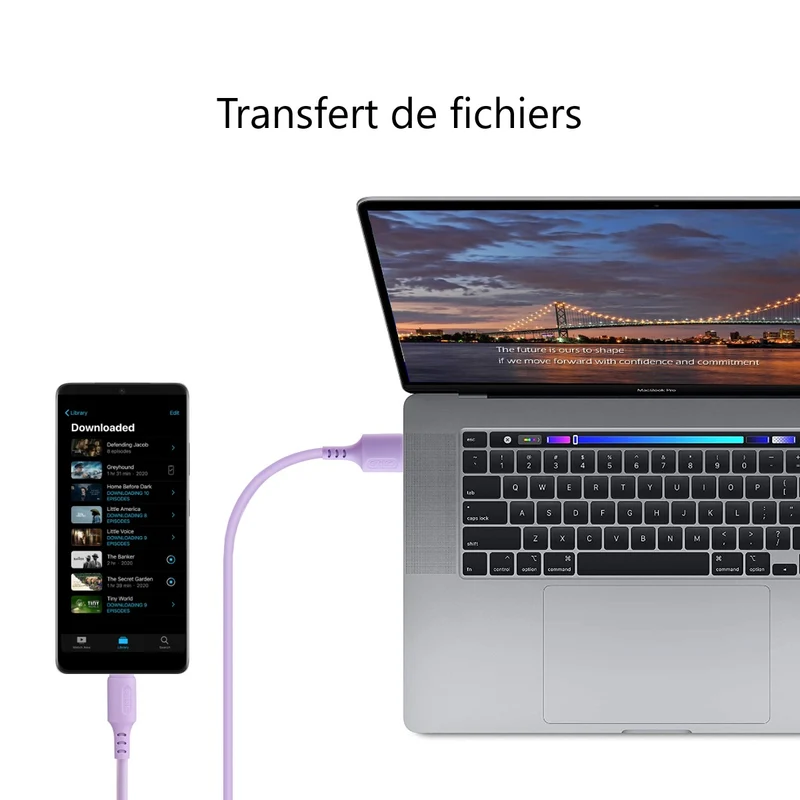 Chargeur USB Usb-C / Samsung 1,50 Mètre - Violet