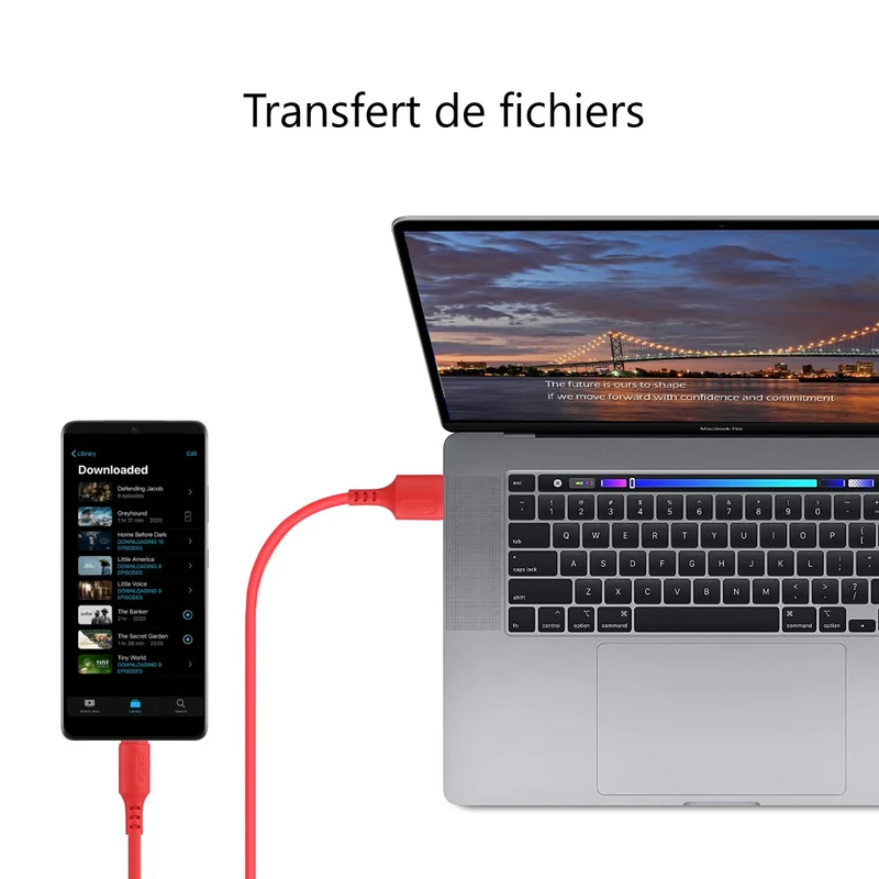 Chargeur USB Usb-C / Samsung 1,50 Mètre - Rouge